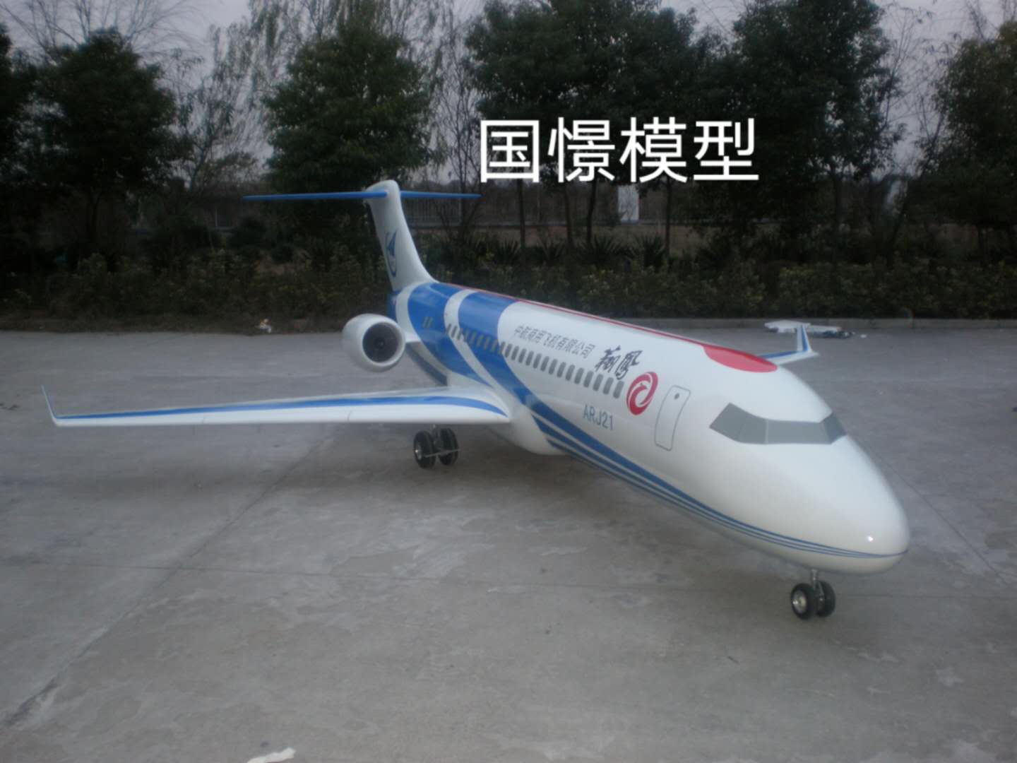 平南县飞机模型